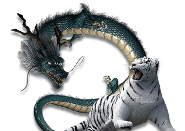 SA Gaming VIP Slot Dragon Tiger